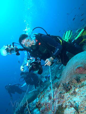 DW160711.jpg