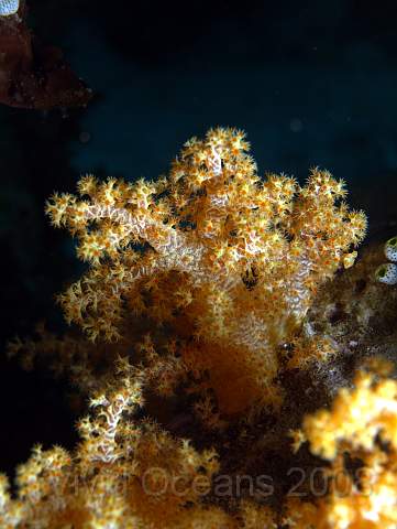 DW221679.jpg
