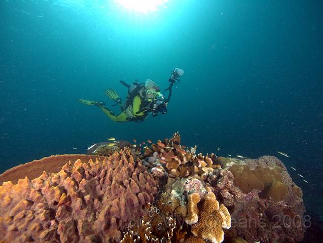 P2276004.jpg