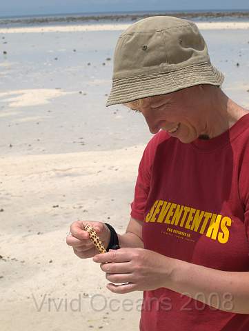 RS211670.JPG - Lots of shells (mostly occupied) to find (and return) to the surrounding beach
