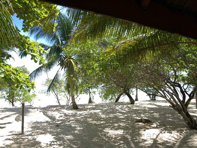 RS231745.JPG - The view from our chalet... the shade from the searing sun is very welcome as the sand gets burning hot!
