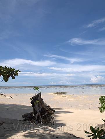 RS231810.JPG - The main island is ringed by a shallow lagoon which dries in places