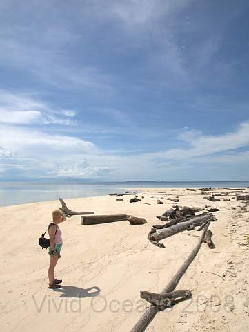 RS231821.JPG - The island and lagoon work as a very effective driftwood catcher... a constant annoyance to Jeremy who would like to keep the beach clear