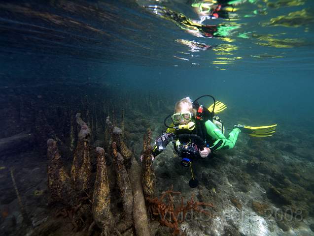 P2265583.jpg