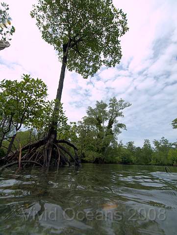 P2265638.jpg