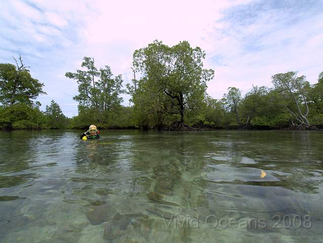 P2265648.jpg