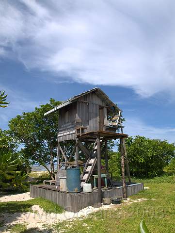 RS231820.jpg - Isn't it cute? This is where the turtle rangers and their captive students live.