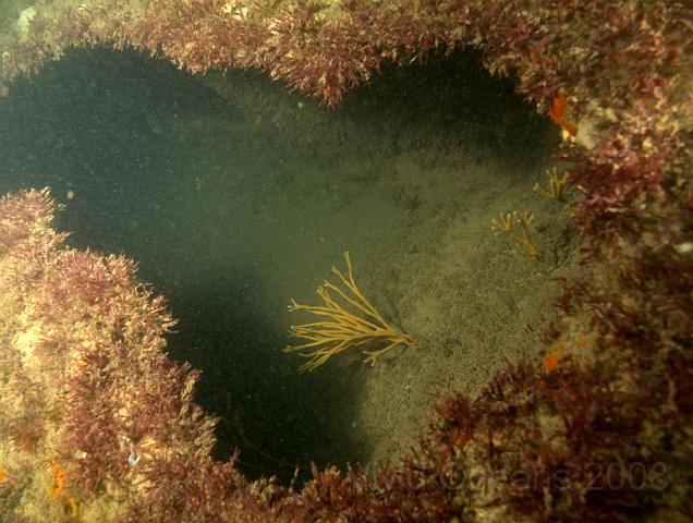 RS167362.jpg - There are some fairly large cavities inside the wreckage but no real swimthroughs other than under fallen pieces