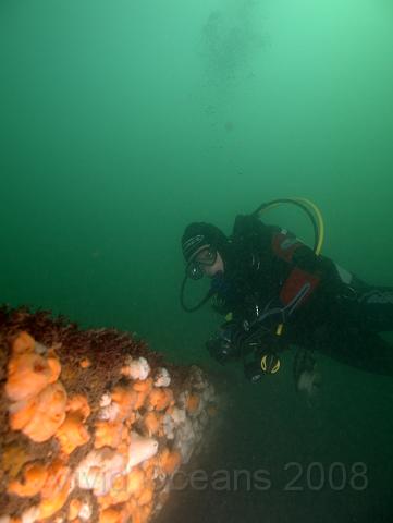 RS167363.jpg - If you drop down on to the wreck away from the engine it's sometimes tricky to work out where you are...