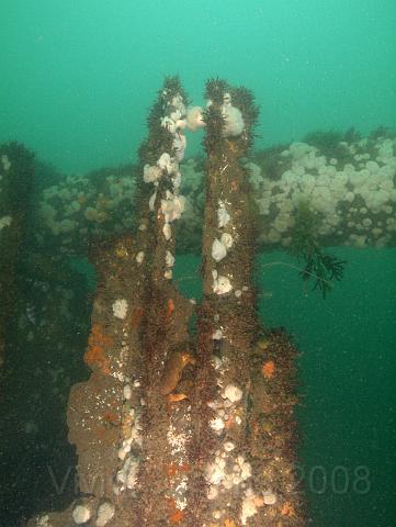 RS167401.jpg - Although this isn't very deep ( 6-7m) you can see how the algae stays on the edges and brighter areas and away from anywhere where there's often shade