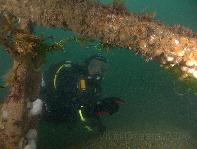 RS177509.JPG - Anglers know that the fish hang around by the wreck but lose plenty of gear as they often drift over it...