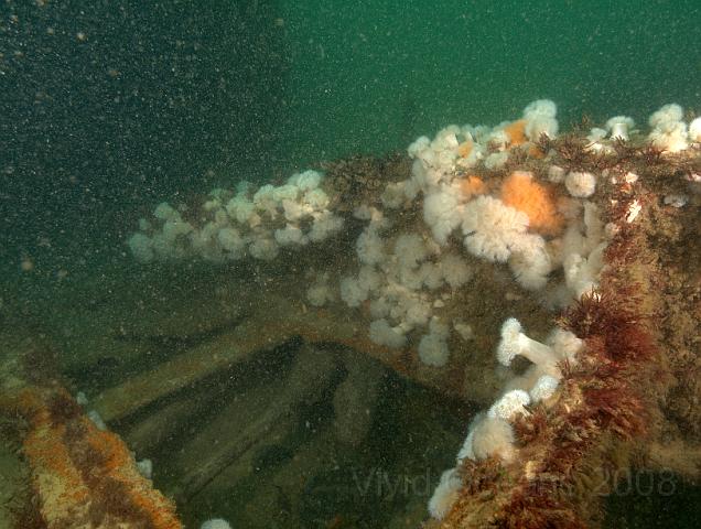 RS177559.JPG - Crossing the wreck in front of the engine there's a lot of twisted wreckage...