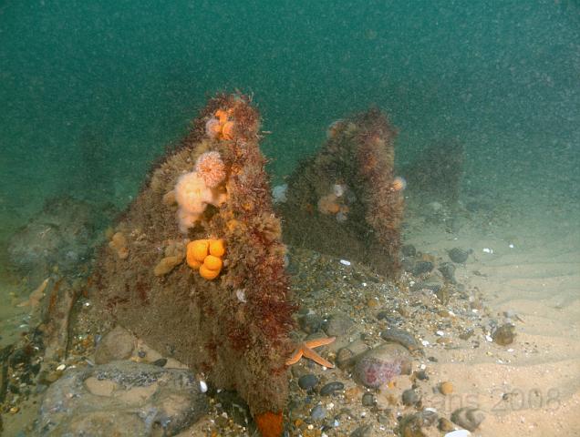 RS177607.JPG - This trio of rusty Toberlone pieces are probably just the tips of some much larger wreckage