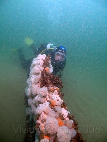 RS177632.JPG - The plain sand under the wreckage is in stark contrast to the overgrown metalwork