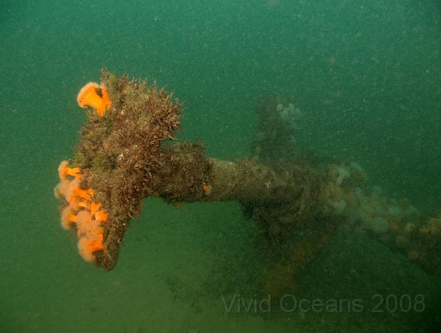 RS177638.JPG - Our theory is that this is either part of the steering gear or a derrick for handling cargo