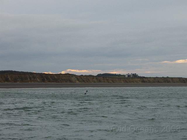PA196566.JPG - Then we motored down to Weybourne to dive the Gullies, well beyond the houses on the cliffs