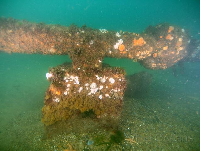 RS247728.jpg - The prop has regular supports which raise it around 1.5m off the seabed - notice the gravel around the wreckage
