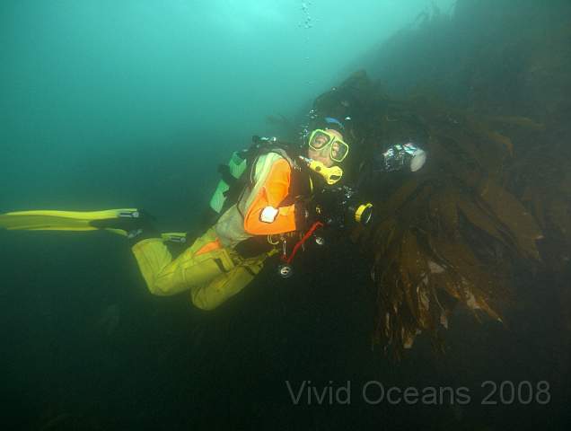 RS127880.jpg - The natural prey of the Grey seal