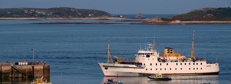 P9137900crop-3.JPG