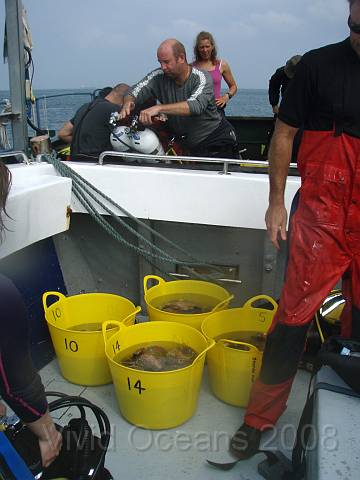 P8306392.JPG - When they were done our overseer traded cleaned scallops for our freedom