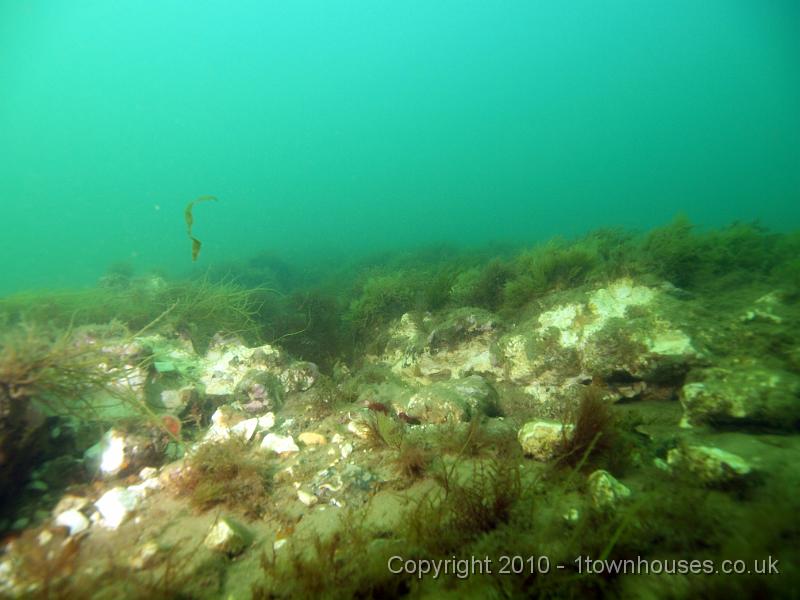 PS162375.JPG - These rocky areas are a great habitat for all kinds of crustaceans, fish and other squidgey stuff
