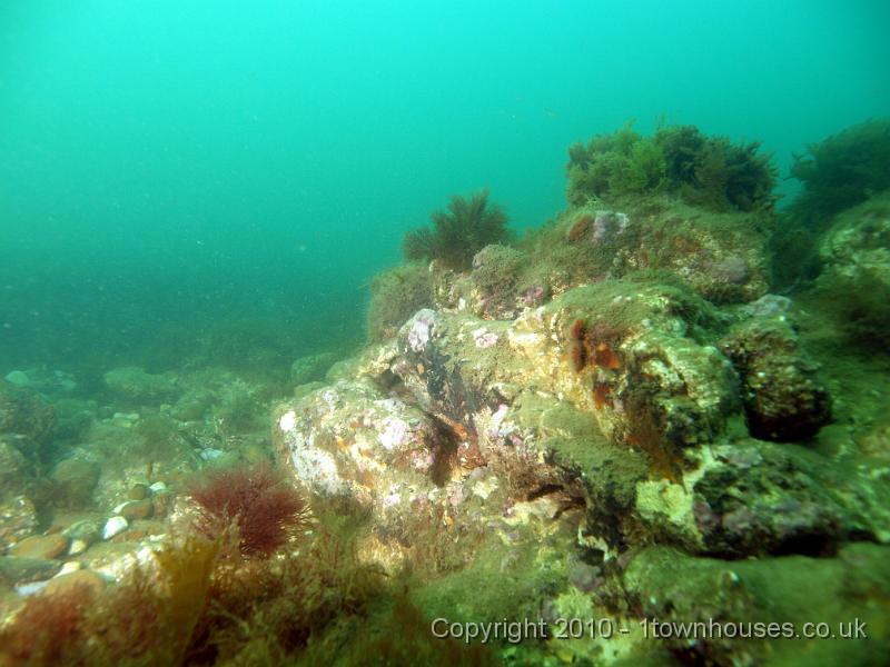 PS162383.JPG - The height of the chalk varies a lot. Much of it is quite low lying but there are some considerable reefs, ridges and lumps.