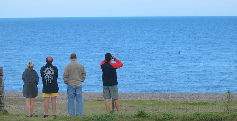 P7073732.JPG - It's out there somewhere...