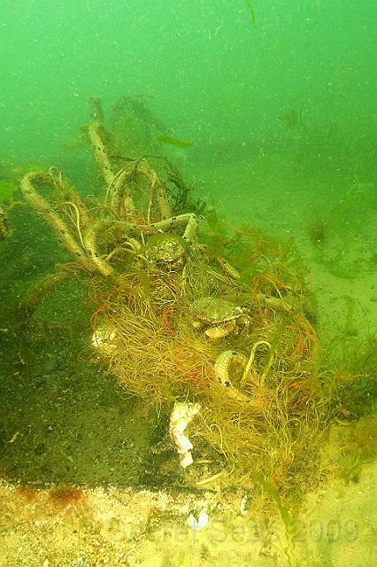 DW070011.jpg - The Vera still has chunks of lost fishing net from last year, still packed with victims waiting to die