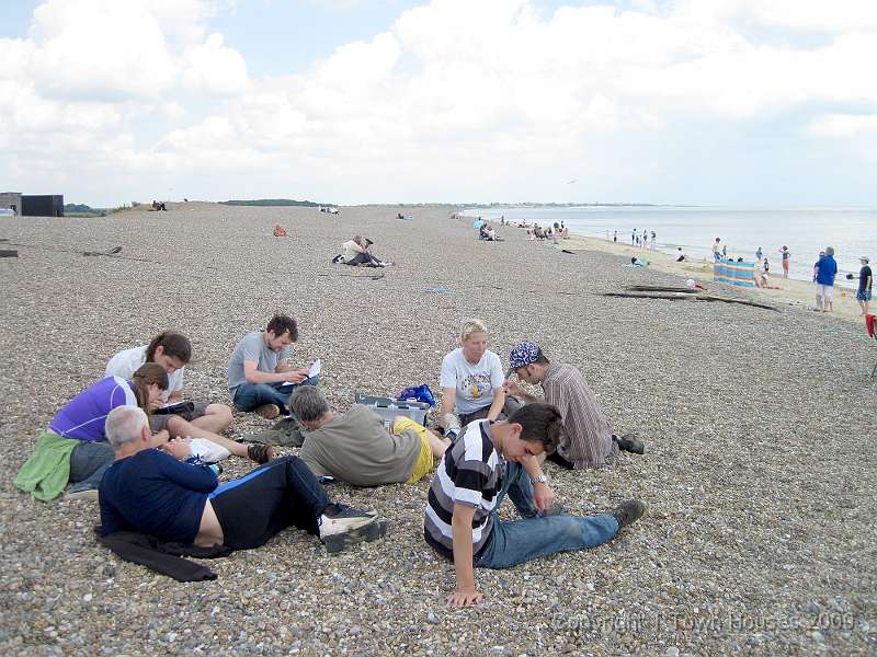 IMG_0763.JPG - A beach in summer is a civilised place to fill in your Seasearch forms don't you think?