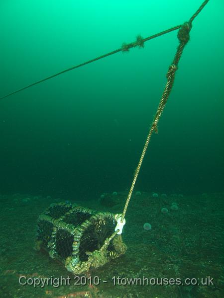 PS283264.jpg - Lobster pot