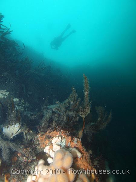 PS283115.jpg - Scenery
