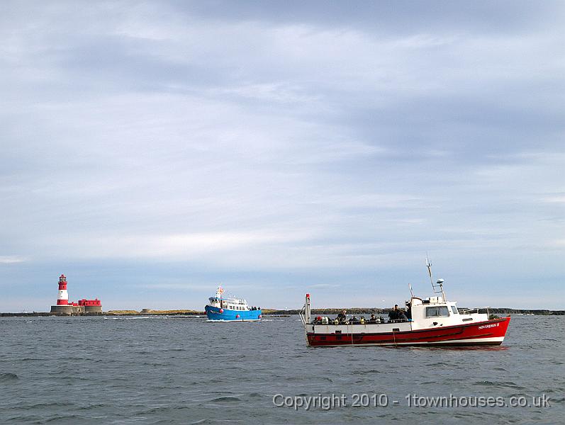 P9284713.jpg - Rival divers (red) and seasick birdwatchers (blue)