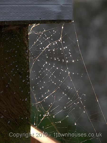 P9304893.jpg - Evening web