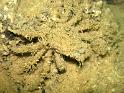 IMG_1637