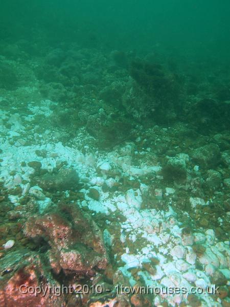 EPL14085.JPG - The chalk is very varied - clean white patches, ridges, rocks and chunks of flint