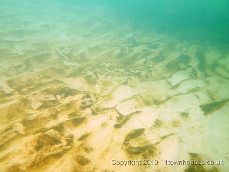 EPL14698.jpg - Algae growing in the surface sand