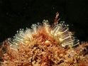 P7207042