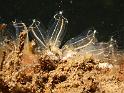 P7207044
