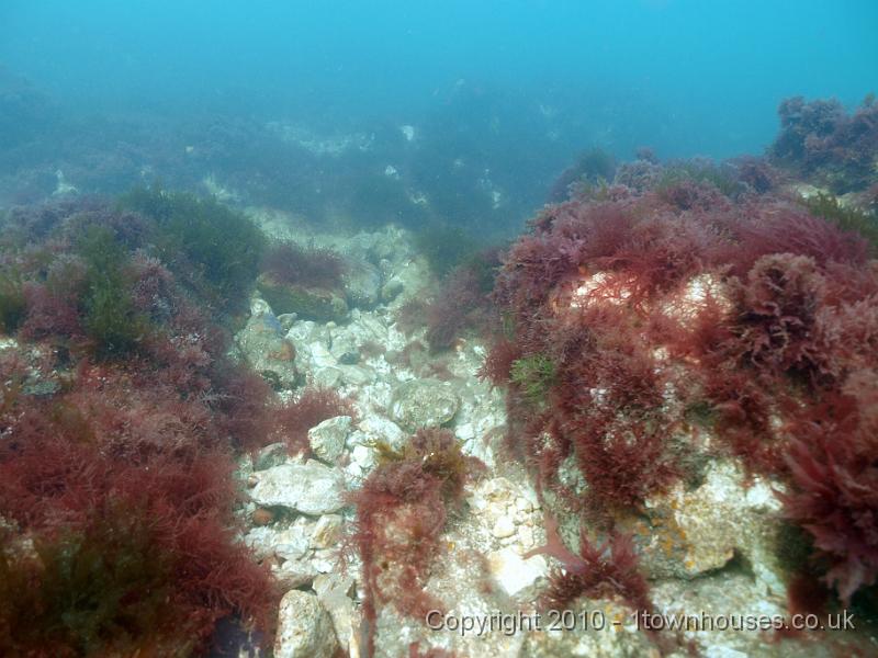 P7227504.jpg