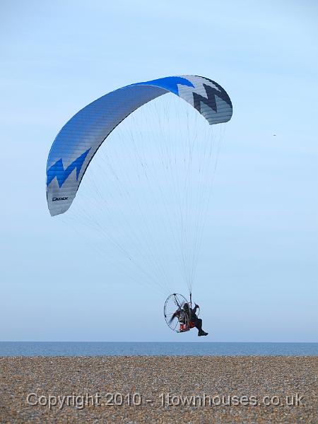 E3113530.JPG - A very low flying pest