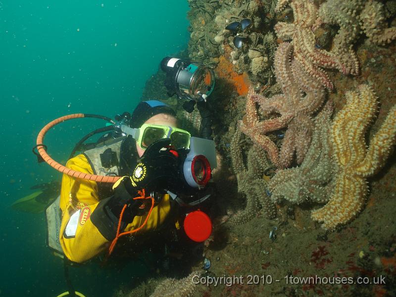 P5131956.JPG - Who wouldn't be excited by all these Spiny Starfish?
