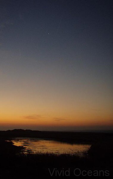 P9236803crop.jpg
