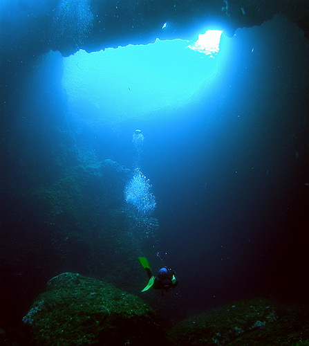P6032870.JPG
