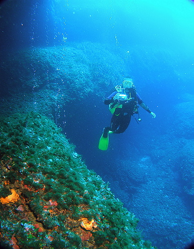 P6043151.JPG