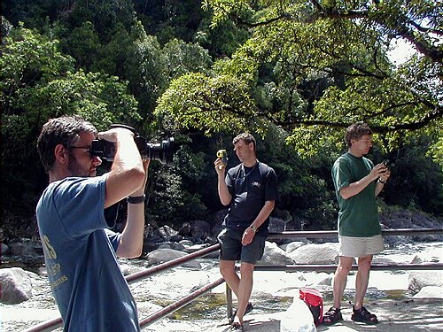 mossman002.jpg