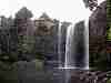 Whangerei Falls - just down from the super market
