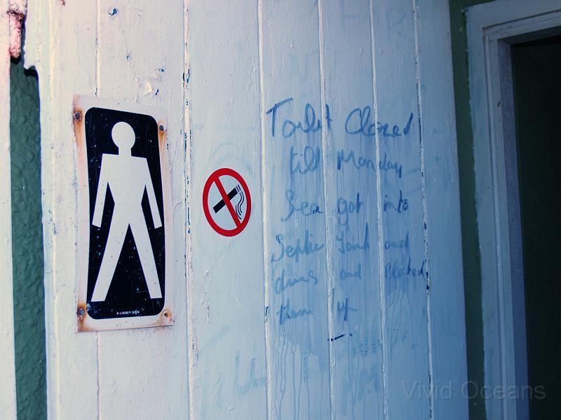 R2216177.JPG - No body was queuing for the horrendous toliets as some kind of disaster had occurred...