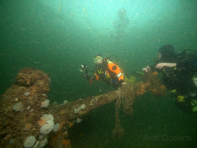 DW211237.jpg - Out on the West side of the wreck there's a small plain between the remains of the hull and the boilers where the Bass seem to congregate