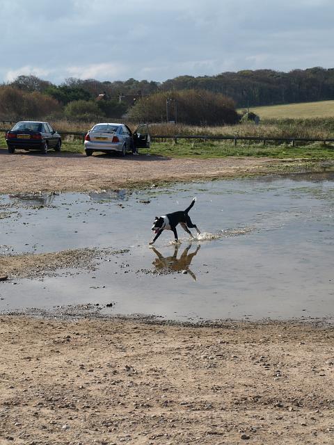 PA070985.JPG - By the time we moved down to Weybourne the crowds had gathered and even the flooded carpark was being enjoyed
