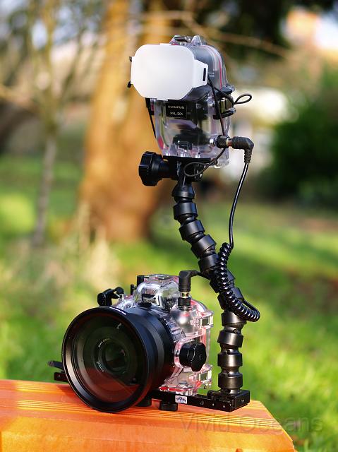 R2162054.JPG - The new baby, the E-410 in its PT-E03 housing with the housed FL-36 flash on a Fantasea tray and flexarm.